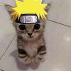 anggangle9